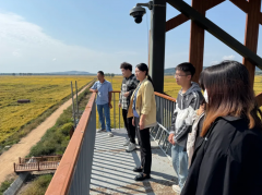 <strong>领会本地水稻正在品种选择、水肥办理、</strong>